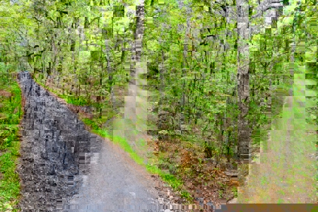 Land for Sale in Prentiss County MS Near Booneville and Marietta - image 18