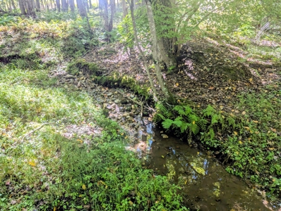 Country Home for Sale in Floyd VA - image 48