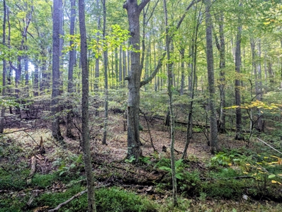 Country Home for Sale in Floyd VA - image 49