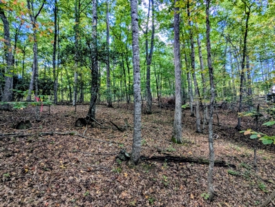 Country Home for Sale in Floyd VA - image 50