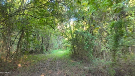 30 Acre Amite River Hunting Tract Amite County MS - image 7