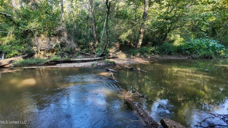 30 Acre Amite River Hunting Tract Amite County MS - image 5