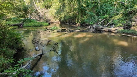 30 Acre Amite River Hunting Tract Amite County MS - image 3