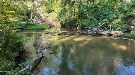 30 Acre Amite River Hunting Tract Amite County MS - image 6