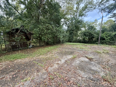 4BR/2BA Home in Dothan with Carport, Fenced Yard & Potential - image 27