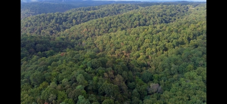 Land For Sale In Ozark Mountains Of Arkansas - image 10
