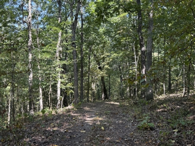 Land For Sale In Ozark Mountains Of Arkansas - image 8