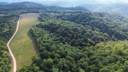 Land For Sale In Ozark Mountains Of Arkansas - image 2