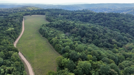 Land For Sale In Ozark Mountains Of Arkansas - image 1