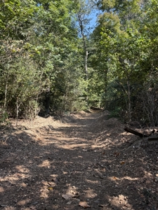 Land For Sale In Ozark Mountains Of Arkansas - image 3