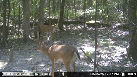 Land For Sale In Ozark Mountains Of Arkansas - image 12