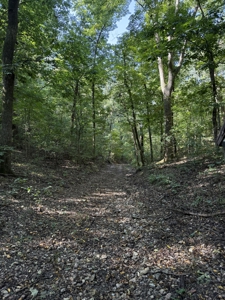 Land For Sale In Ozark Mountains Of Arkansas - image 6
