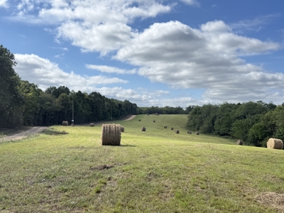 Land For Sale In Ozark Mountains Of Arkansas - image 15