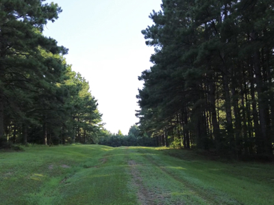 Multi-Purpose Country Estate - NE Lincoln Parish - image 31