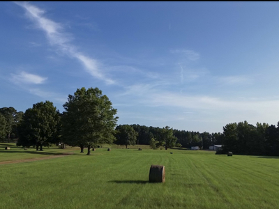 Multi-Purpose Country Estate - NE Lincoln Parish - image 29