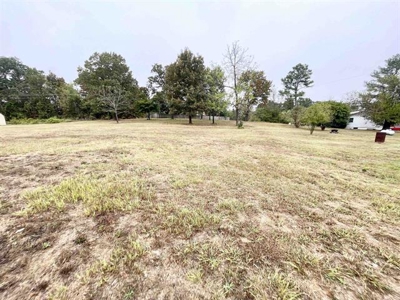Commercial/Residential lot for sale Salem, AR - image 7