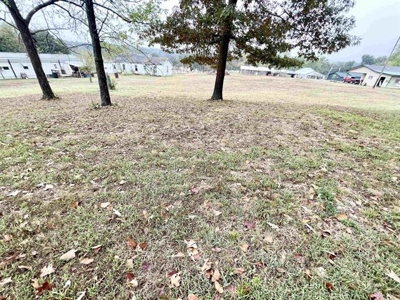 Commercial/Residential lot for sale Salem, AR - image 10