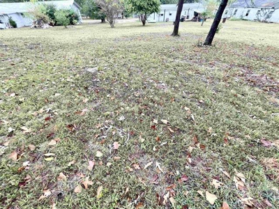 Commercial/Residential lot for sale Salem, AR - image 9