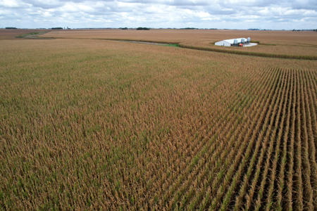 Webster County Iowa Farmland Auction - image 16