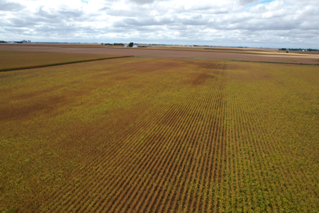 Webster County Iowa Farmland Auction - image 26