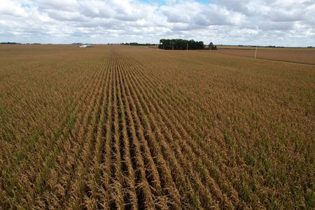 Webster County Iowa Farmland Auction - image 18