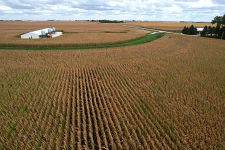 Webster County Iowa Farmland Auction - image 14