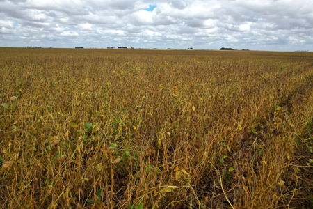 Webster County Iowa Farmland Auction - image 35