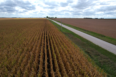 Webster County Iowa Farmland Auction - image 19