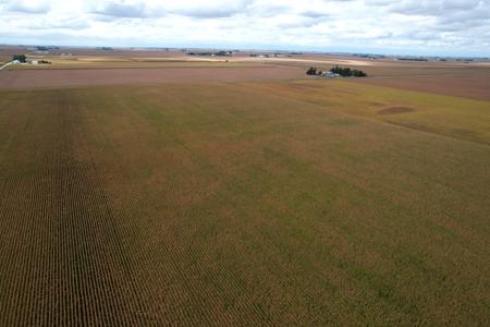 Webster County Iowa Farmland Auction - image 31