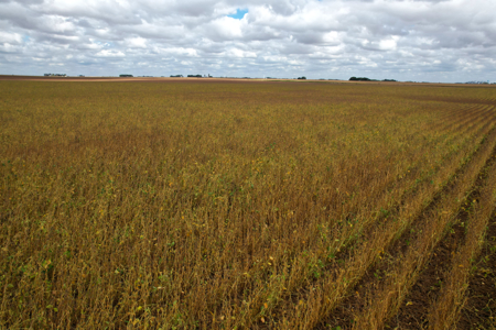 Webster County Iowa Farmland Auction - image 13