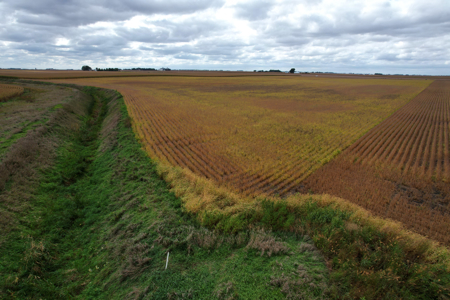 Webster County Iowa Farmland Auction - image 21
