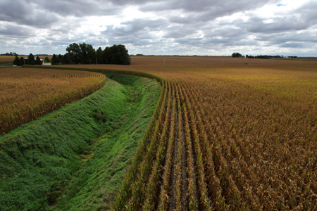 Webster County Iowa Farmland Auction - image 11
