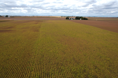 Webster County Iowa Farmland Auction - image 29
