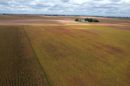 Webster County Iowa Farmland Auction - image 33