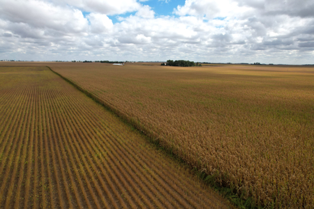 Webster County Iowa Farmland Auction - image 10