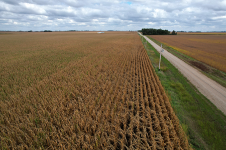 Webster County Iowa Farmland Auction - image 6