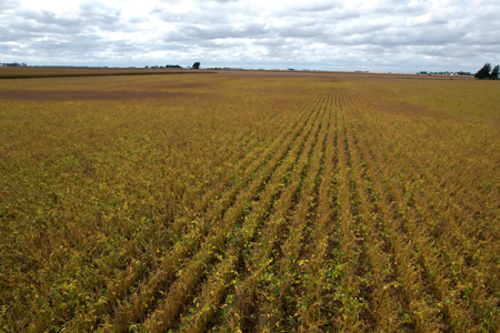 Webster County Iowa Farmland Auction - image 15