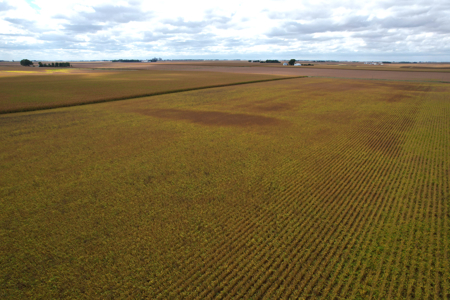 Webster County Iowa Farmland Auction - image 17