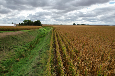 Webster County Iowa Farmland Auction - image 30