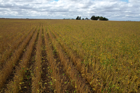 Webster County Iowa Farmland Auction - image 20