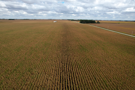 Webster County Iowa Farmland Auction - image 9