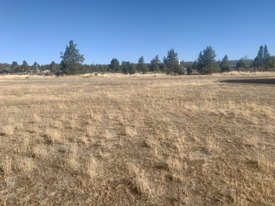 Commercial Property For Sale in Alturas, California - image 12