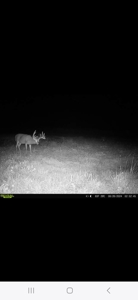 Monroe County, Iowa Hunting & Investment Farm - image 21