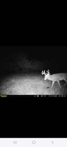 Monroe County, Iowa Hunting & Investment Farm - image 13