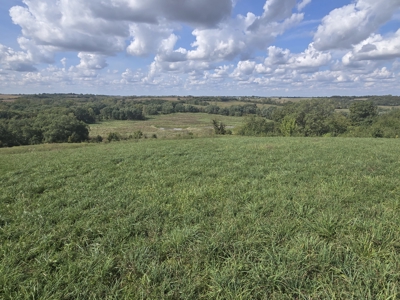 Monroe County, Iowa Hunting & Investment Farm - image 48