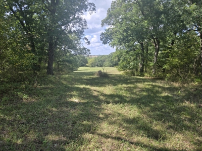 Monroe County, Iowa Hunting & Investment Farm - image 43