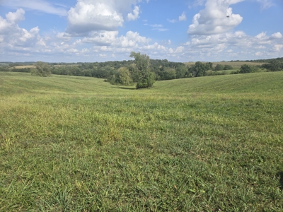 Monroe County, Iowa Hunting & Investment Farm - image 39