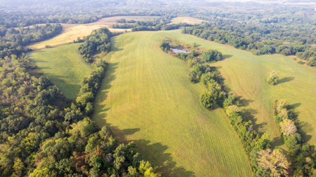 Monroe County, Iowa Hunting & Investment Farm - image 6