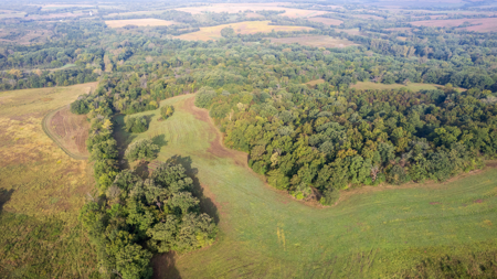 Monroe County, Iowa Hunting & Investment Farm - image 9
