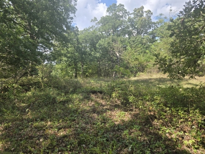 Monroe County, Iowa Hunting & Investment Farm - image 42